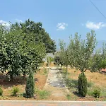 度假居 Countriside Kovashice